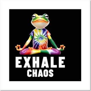 Exhale Chaos Zen Frog Meditation Yoga Posters and Art